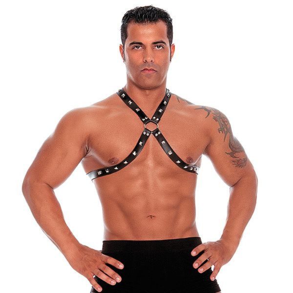 Arreio Masculino Master Harness