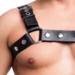 Harness em Couro Legítimo